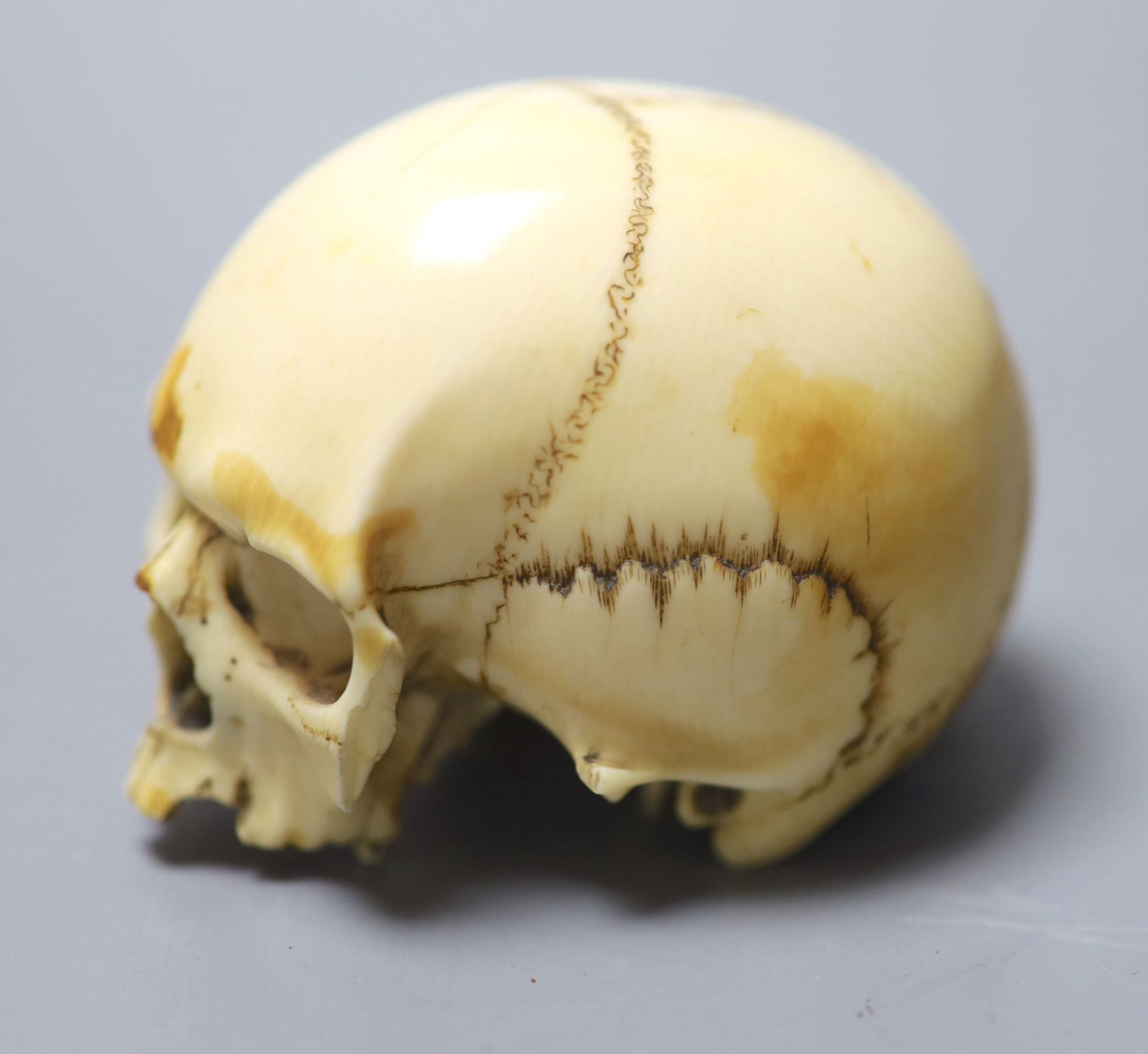 A 19th century ivory model of a human skull, height 5cm, 7cm long, lower jaw lacking